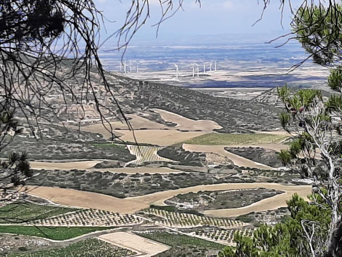 Гостевой дом Casa Rural "Eccehomo De Borja" Экстерьер фото